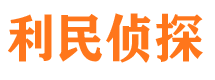 平山私人侦探